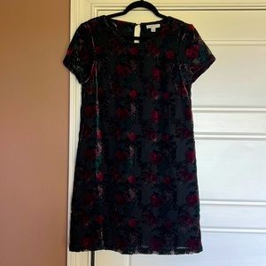 Carolina Belle mini velvet floral shift dress